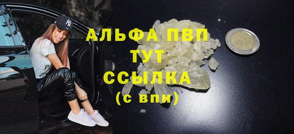 индика Михайловка