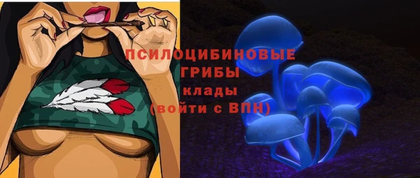 бошки Лиски