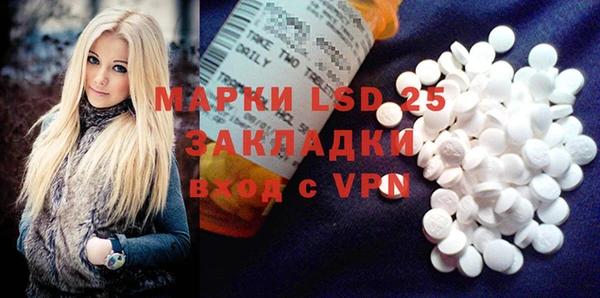 индика Михайловка