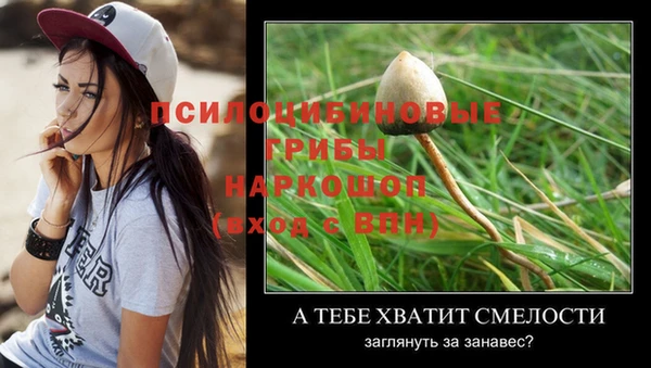 гидра Михайлов