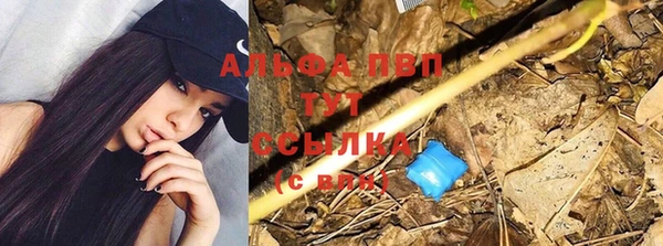 гидра Михайлов
