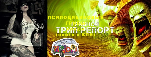 гидра Михайлов