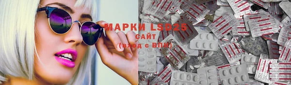 индика Михайловка