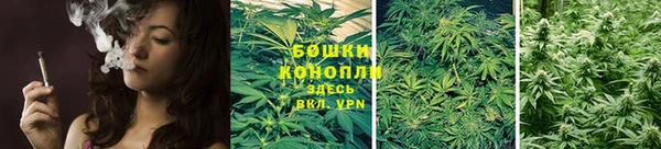 гидра Михайлов