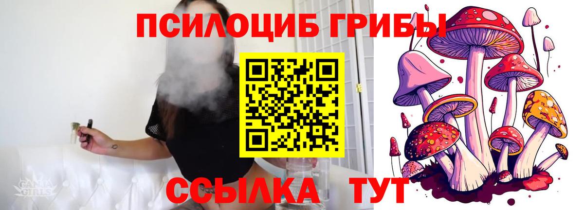Галлюциногенные грибы прущие грибы  как найти закладки  Курган  Псилоцибиновые грибы MAGIC MUSHROOMS 