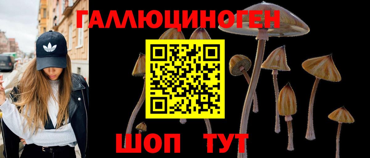 Галлюциногенные грибы мицелий Курган